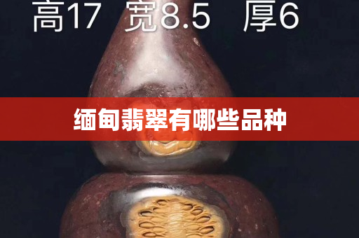 缅甸翡翠有哪些品种