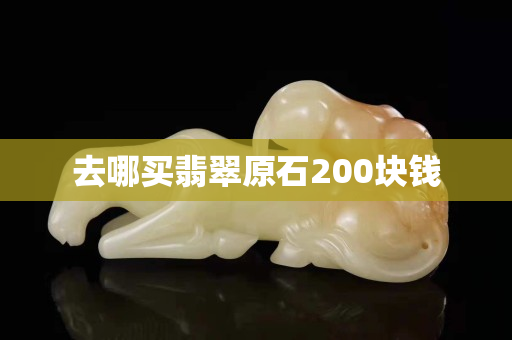 去哪买翡翠原石200块钱