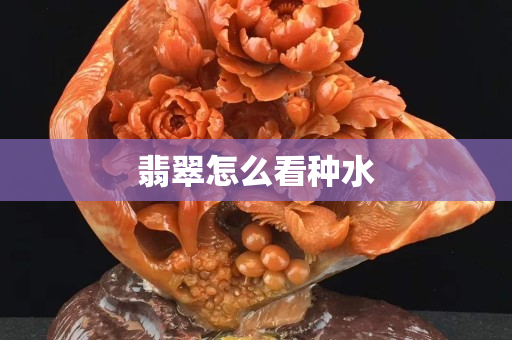 翡翠怎么看种水