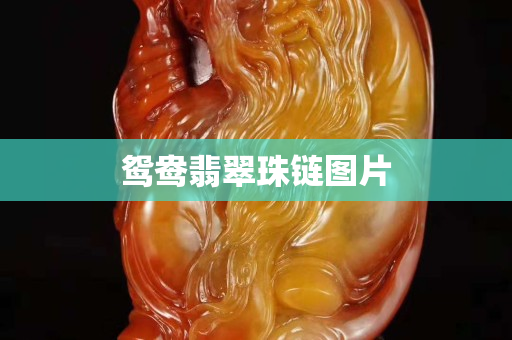 鸳鸯翡翠珠链图片