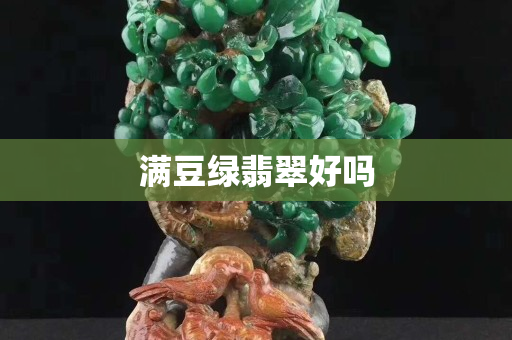 满豆绿翡翠好吗