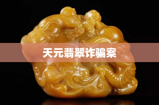 天元翡翠诈骗案