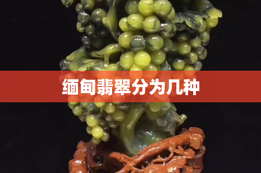 缅甸翡翠分为几种