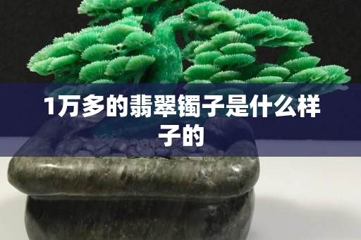 1万多的翡翠镯子是什么样子的