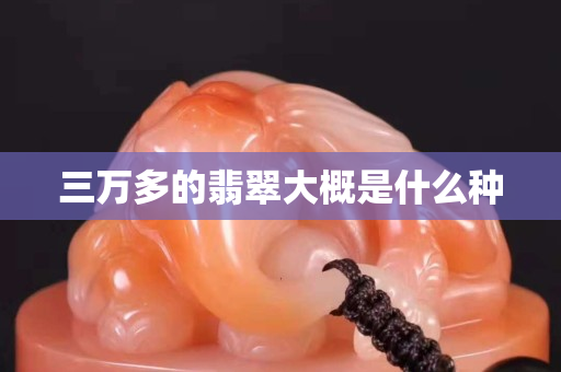 三万多的翡翠大概是什么种