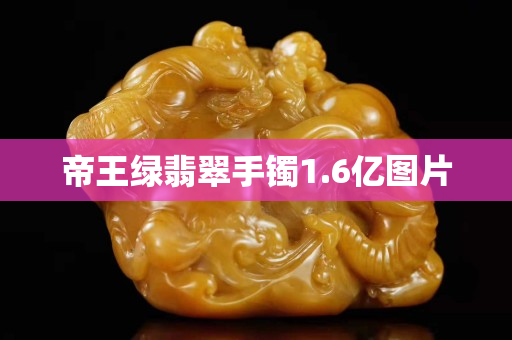帝王绿翡翠手镯1.6亿图片