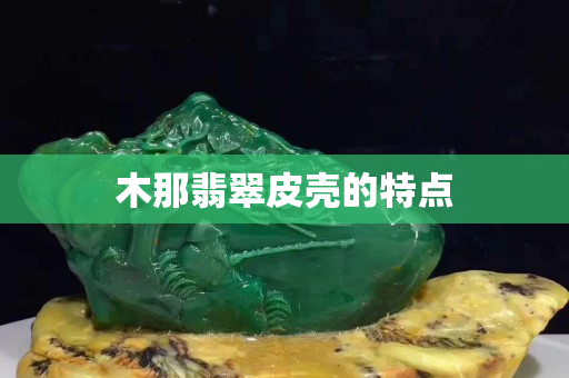 木那翡翠皮壳的特点