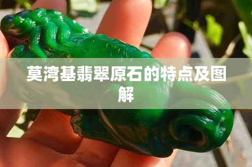 莫湾基翡翠原石的特点及图解