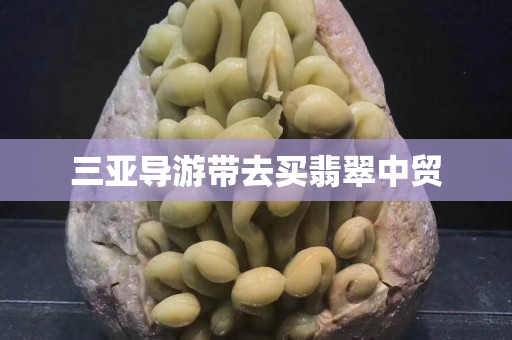 三亚导游带去买翡翠中贸