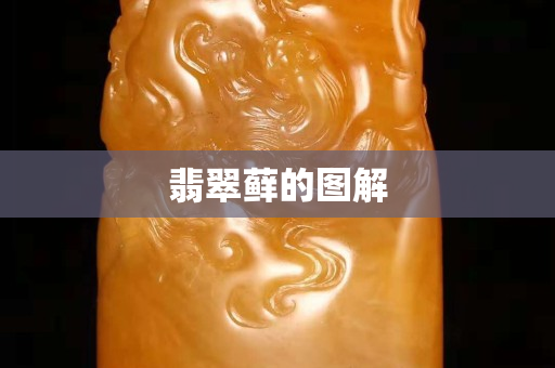 翡翠藓的图解