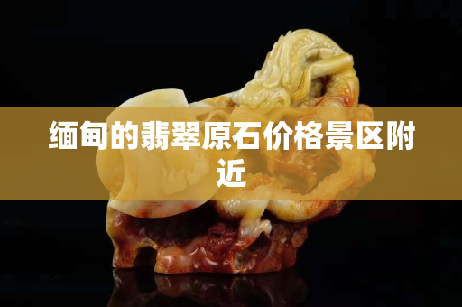 缅甸的翡翠原石价格景区附近