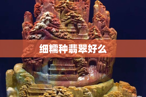 细糯种翡翠好么