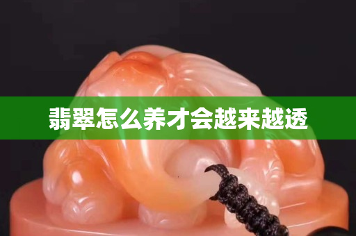翡翠怎么养才会越来越透