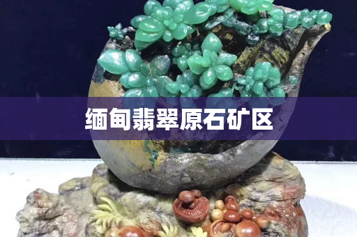 缅甸翡翠原石矿区