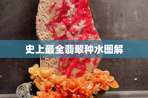 史上最全翡翠种水图解
