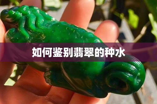 如何鉴别翡翠的种水