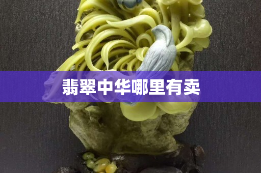 翡翠中华哪里有卖