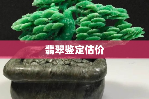 翡翠鉴定估价