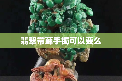 翡翠带藓手镯可以要么