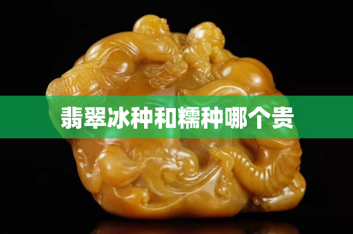 翡翠冰种和糯种哪个贵