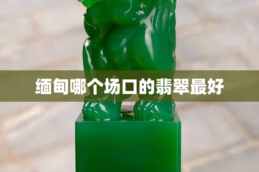 缅甸哪个场口的翡翠最好