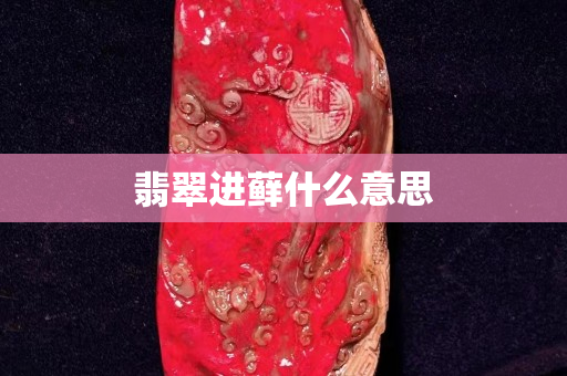翡翠进藓什么意思