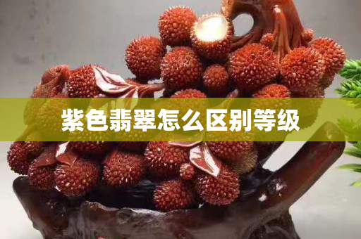 紫色翡翠怎么区别等级