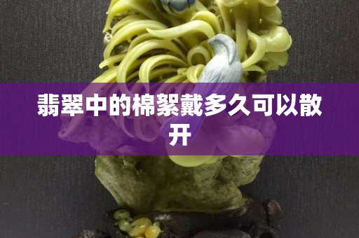 翡翠中的棉絮戴多久可以散开