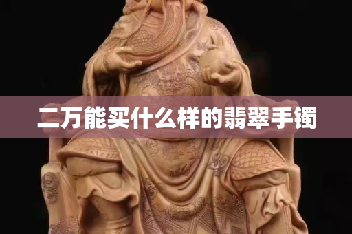 二万能买什么样的翡翠手镯