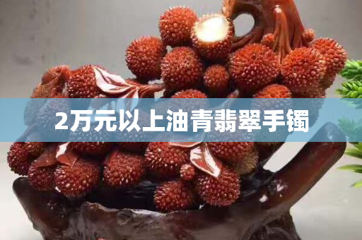 2万元以上油青翡翠手镯