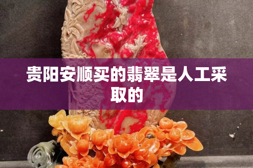 贵阳安顺买的翡翠是人工采取的