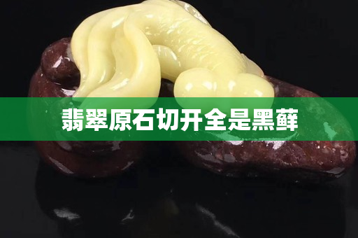翡翠原石切开全是黑藓