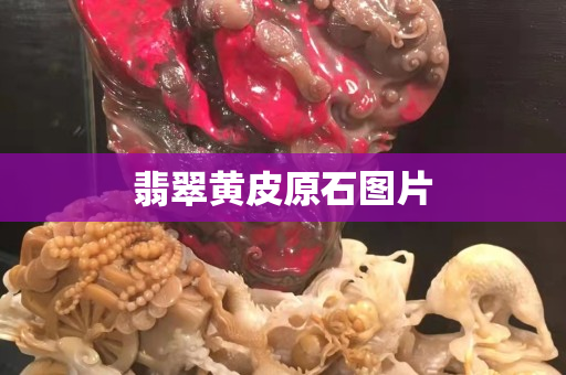 翡翠黄皮原石图片