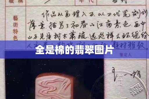 全是棉的翡翠图片