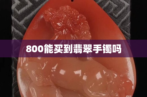800能买到翡翠手镯吗