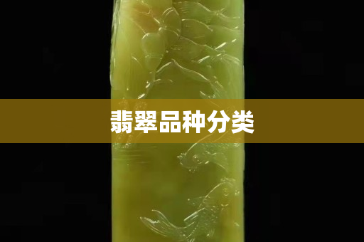 翡翠品种分类