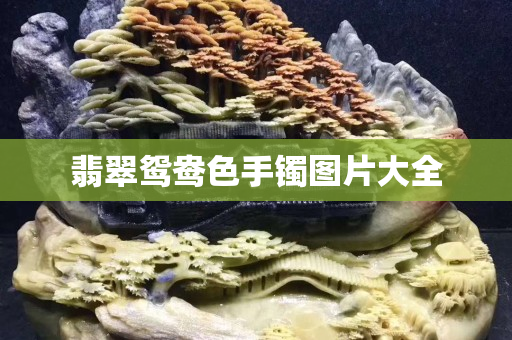 翡翠鸳鸯色手镯图片大全