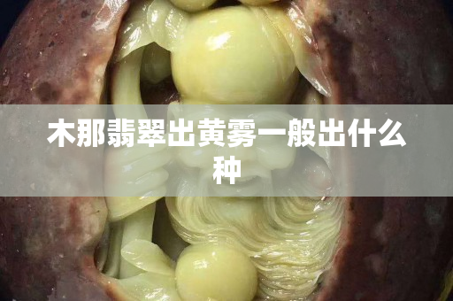 木那翡翠出黄雾一般出什么种
