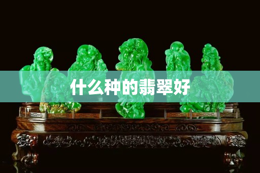 什么种的翡翠好