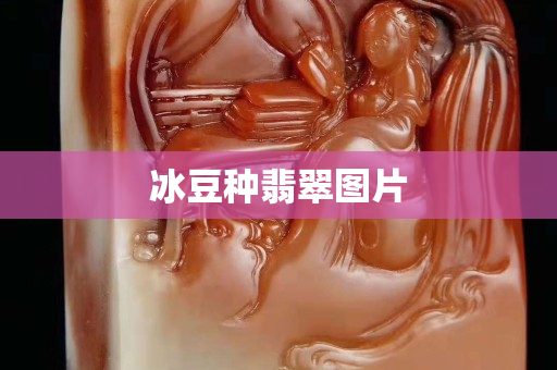 冰豆种翡翠图片