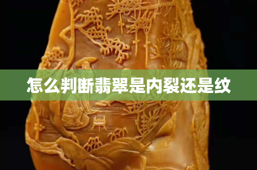 怎么判断翡翠是内裂还是纹