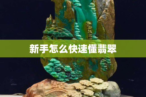 新手怎么快速懂翡翠 新手怎么快速懂翡翠