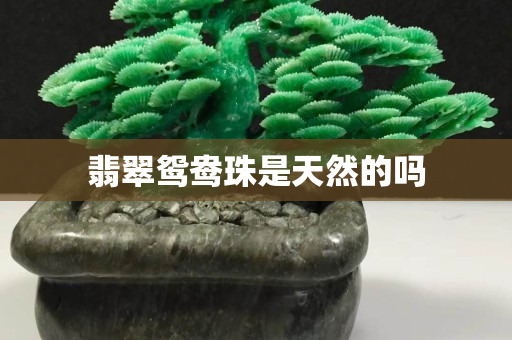 翡翠鸳鸯珠是天然的吗