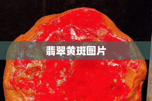 翡翠黄斑图片