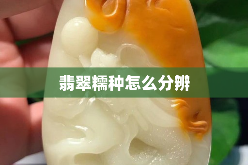 翡翠糯种怎么分辨