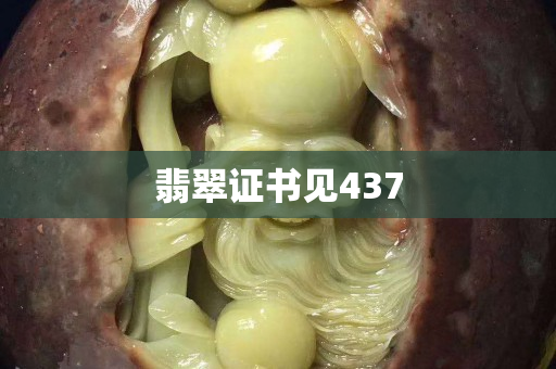 翡翠证书见437