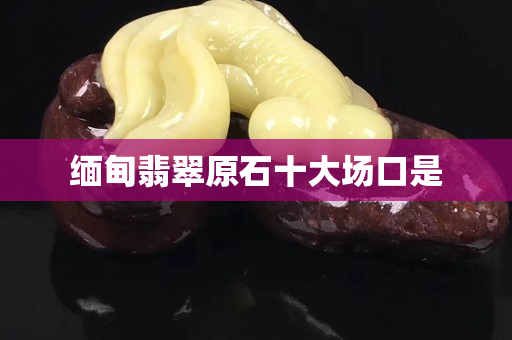 缅甸翡翠原石十大场口是