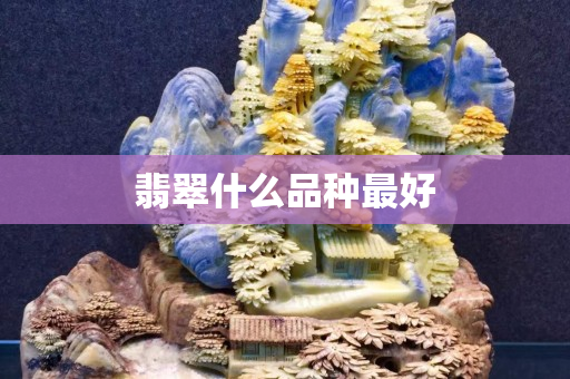 翡翠什么品种最好