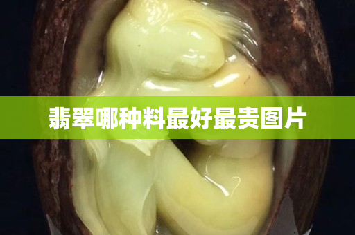 翡翠哪种料最好最贵图片