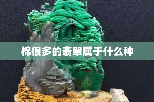 棉很多的翡翠属于什么种